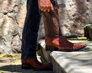 Read more about the article Botas Vaqueros